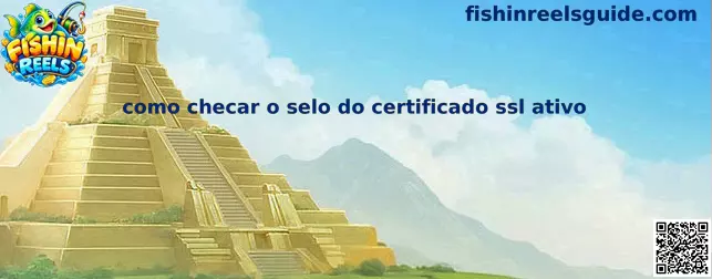 Verificação de SSL