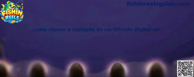 Verificação de certificado digital SSL